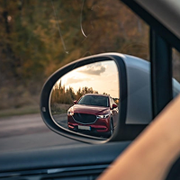 Mirrors